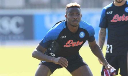 napoli bologna osimhen