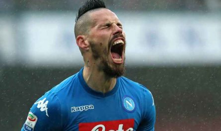 hamsik